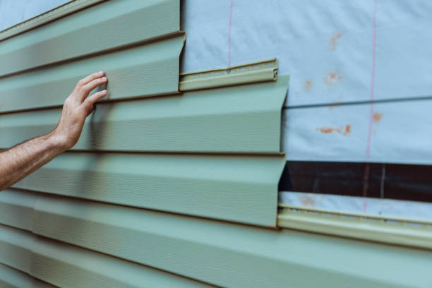 Best Custom Trim and Detailing for Siding  in Wabasso, FL